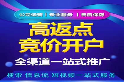 百度推广费用投入与品牌知名度提升的案例分析